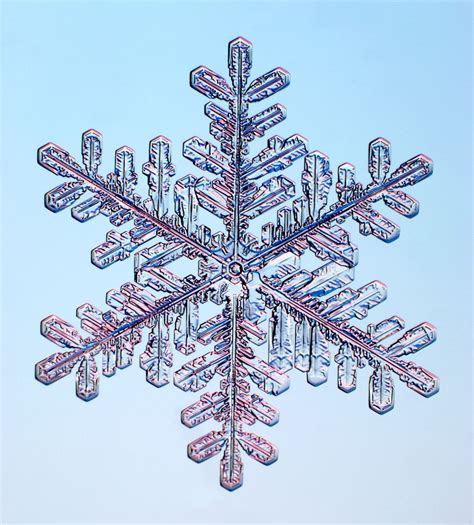 Fractals in Nature: Captivating Snowflake Photography