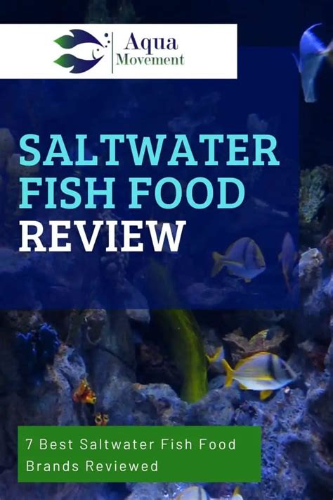 Best Saltwater Fish Food - Top 7 Review | Aqua Movement