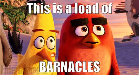 This is a load of barnacles | Angry Birds | Know Your Meme