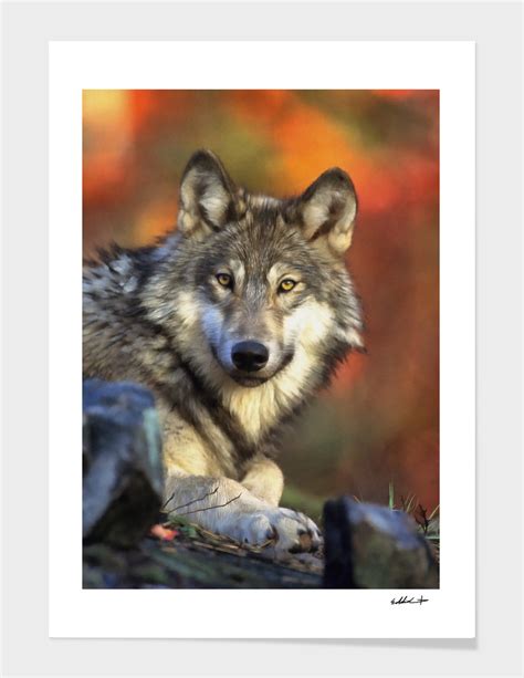 «AUTUMN WOLF» Art Print by Eddie Christian | Curioos