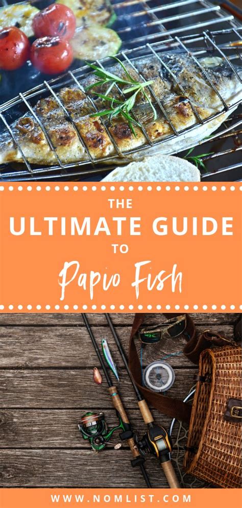 The Ultimate Guide to Papio Fish - NomList | Fish, Fish recipes, Teriyaki glaze