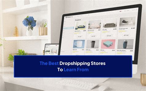 18 Best Dropshipping Stores to Learn From | Dropship