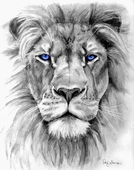 Tattoo ideas | Lion head tattoos, Lion tattoo, Lion tattoo design