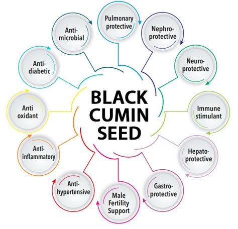 Health Benefits Of Black Cumin Seed Nigellin® | Free Hot Nude Porn Pic ...