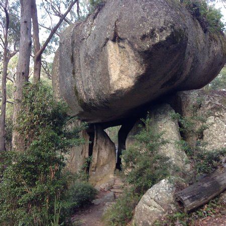 Bald Rock National Park (Tenterfield) - 2018 All You Need to Know Before You Go (with Photos ...