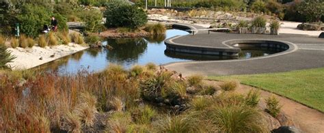 Threatened Native Plant Garden | Auckland Botanic Gardens