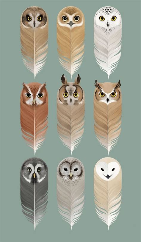 Pin by Brooke Thayne on life is beautiful | Owl art, Owl pictures, Feather art