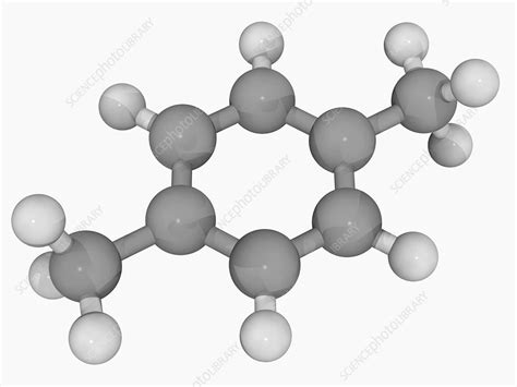 para-Xylene molecule - Stock Image - F004/6600 - Science Photo Library