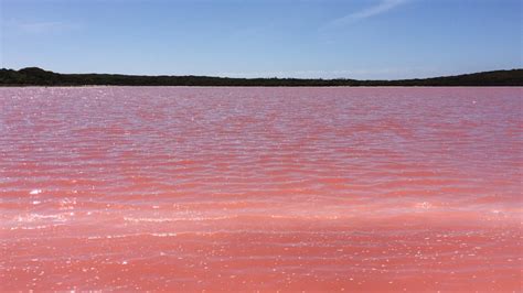 תגמול מחדש מקררים שדה תעופה pink salt lake australia נוזל ירידה פתאומית ...