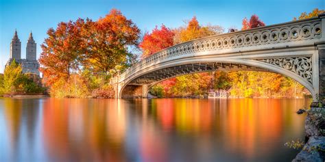 Fall Foliage in NYC Is at Its Peak: 5 Great Places to See It | StreetEasy