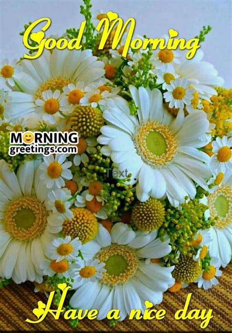 10 Good Day Greetings With Flowers - Morning Greetings – Morning Quotes ...