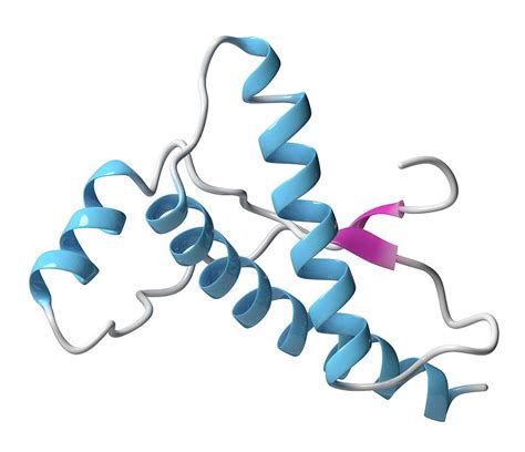 Fajarv: Protein Molecule Cartoon