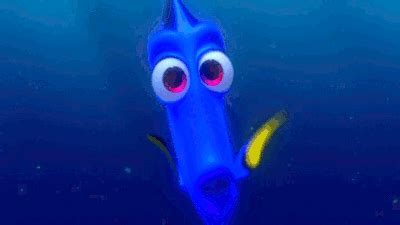 finding nemo finding gif | WiffleGif