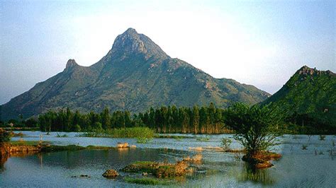 Arunachala Pradakshina - the sacred mountain path