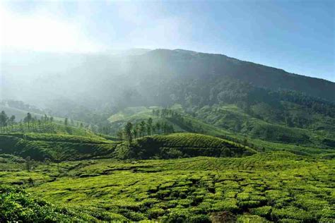 20 Best Tourist Places in Assam to Visit in 2024