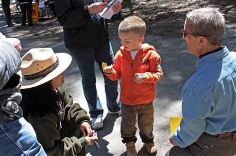 Junior Rangers Program Thrives In Yosemite | Sierra News Online