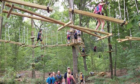 several people are walking on wooden bridges in the forest, while one person is holding onto a rope