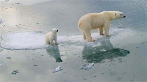 Norvège : record de chaleur dans l'Arctique