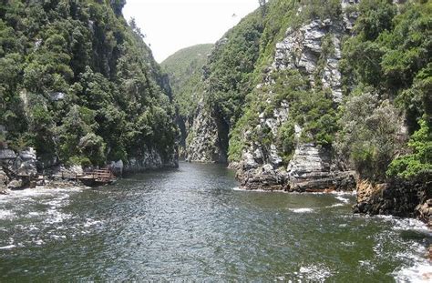 Beautiful Scenery from Suspension Bridge, Tsitsikamma National Park, Garden Route, South Africa ...