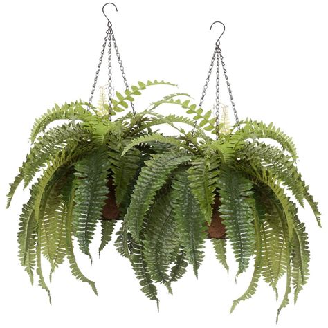 Fully Assembled Fern Hanging Basket by OakRidgeTM, Set of 2 - Walmart.com - Walmart.com