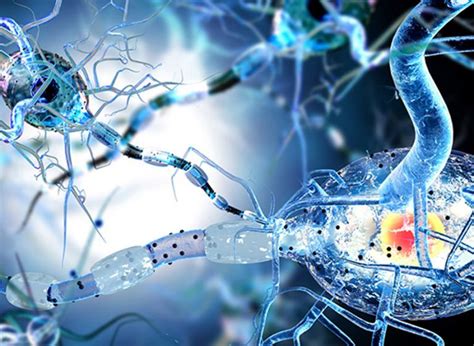 Multiple Sclerosis (MS) – Find the Best Stem Cell Treatment | GSC