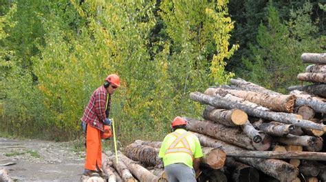 First-of-its-kind environmental agreement between Lake Babine Nation and B.C. - The Environment ...