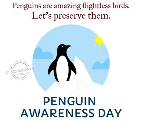 Penguins Are Amazing Flightless Birds - Desi Comments