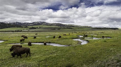 West Yellowstone is the perfect lodging location for your Montana vacation