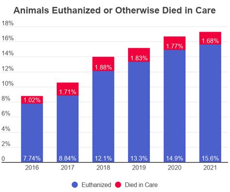 How Many Dogs And Cats Are Abandoned Each Year