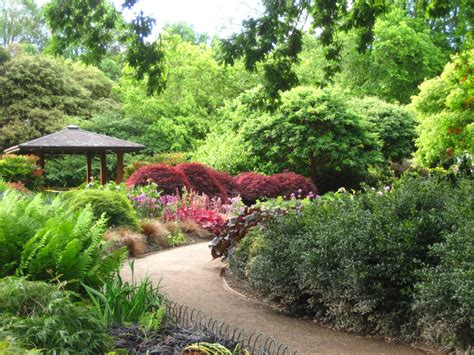 Pathways of Dunedin Botanic Garden | A Stone's Throw