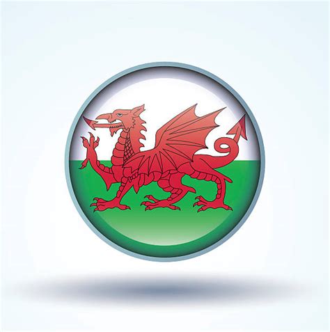 Welsh flag vector