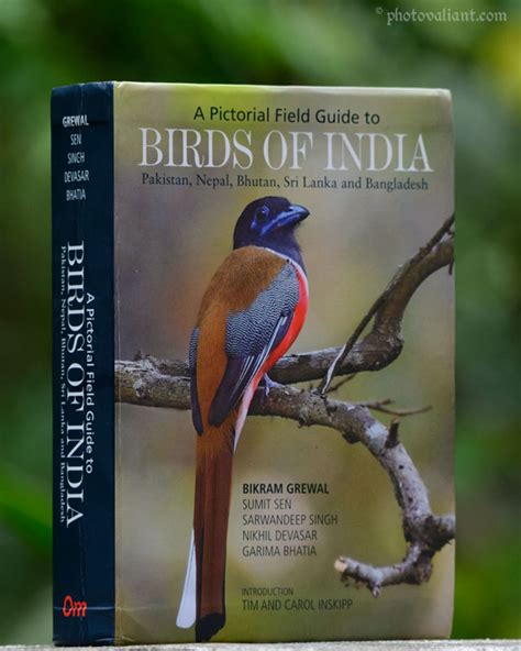 Birds of India by Bikram Grewal - A Pictorial Field Guide [Book Review]