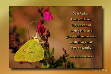 "Nature Lover's Prayer" by Bonnie T. Barry | Redbubble