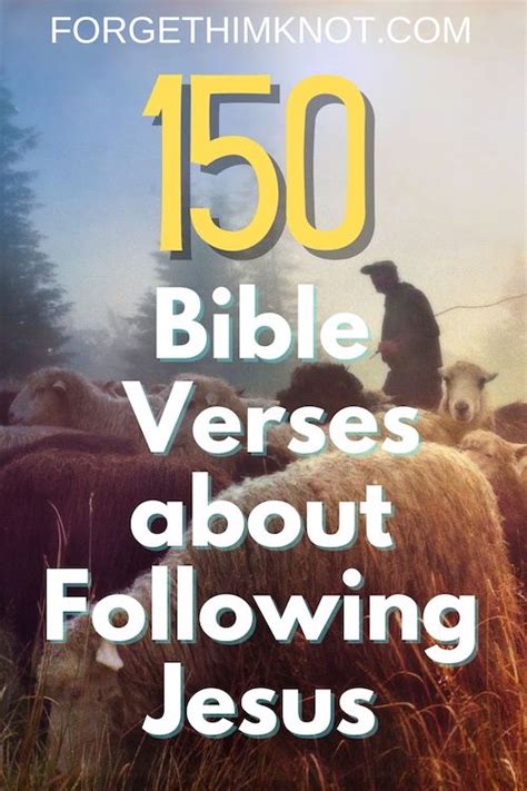 150 Enlightening Bible Verses About Following Jesus - Forget Him Knot