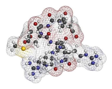 All About Acetyl Hexapeptide-8: Skin Care Benefits, Tips & Products ...