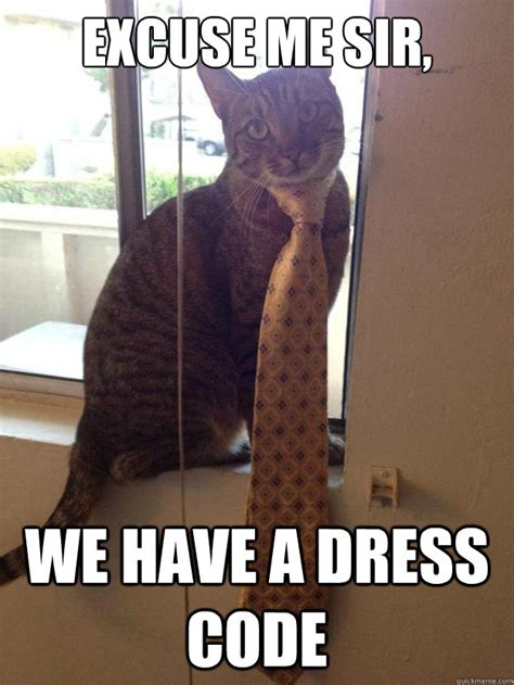 Excuse me sir, We have a dress code - Good Looking Cat - quickmeme