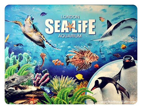 Sea Life London Aquarium Wallpapers - Wallpaper Cave