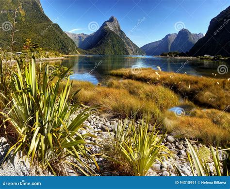 Fiordland National Park, New Zealand Stock Image - Image of coast, park ...