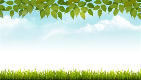 Nature spring background with grass | Decorative Illustrations ~ Creative Market