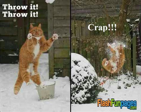 snowball fight | Ecards for Facebook