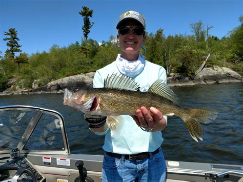 Minnesota fishing reports dnr