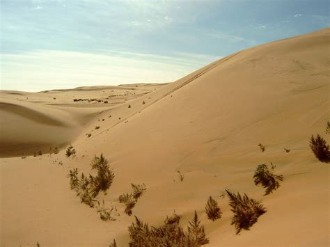 Gobi Desert | Map, Plants, Animals, & Facts | Britannica