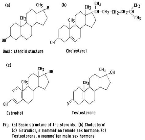 TooSogiE Lipid-Diagnostic: STEROIDS CHEMICAL STRUCTURE