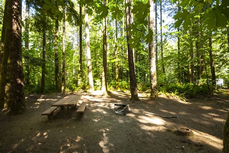 Baker Lake, Horseshoe Cove Campground | Outdoor Project