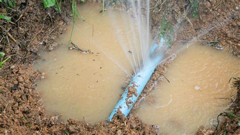 Steps to Follow If a Pipe Burst on Your Property | Wild Water Plumbing