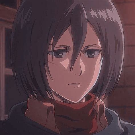 Mikasa Ackerman Aesthetic Pfp ~ Mikasa Ackerman | Giyarisyah