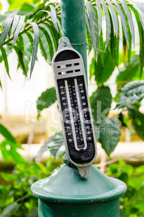 Thermometer For Greenhouse Stock Photo | Royalty-Free | FreeImages