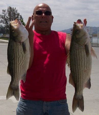 Fishing Report | Lake Elsinore, CA