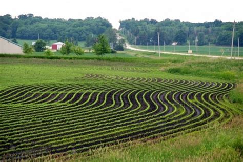 Contour Gardening to Minimize Irrigation and Maximize Yields | Tenth ...