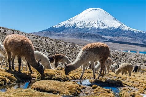 Best national parks in Chile - Lonely Planet